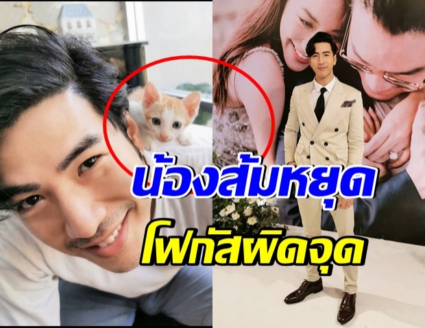 ชาวเน็ตตะลึง โย่ง อาร์มเเชร์ โพสต์ภาพอวดน้องเเมว เเต่โดนโฟกัสผิดจุด