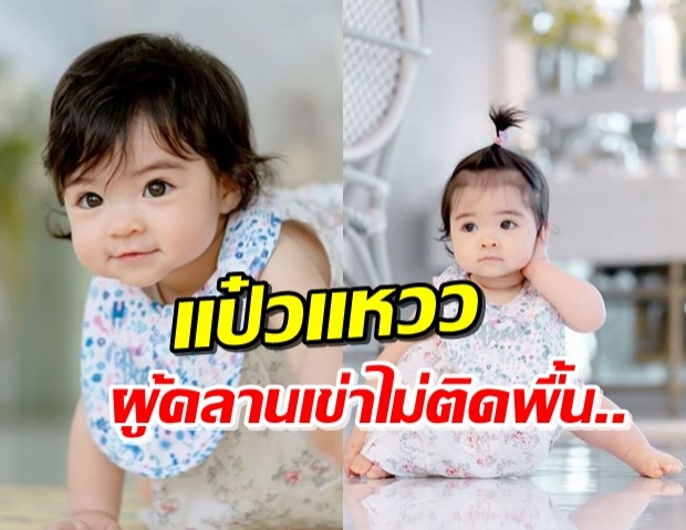 น่ารักอะ! ‘น้องเดมี่’ ทั้งโพสท่า-คลานแบบหมี จนพี่ๆหลงรักหนักมาก