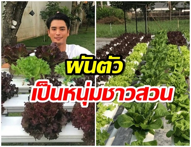 ปั่นจั่น ผันตัวเป็นชาวสวน เปิดธุรกิจฟาร์มผักไฮโดรโปนิกส์