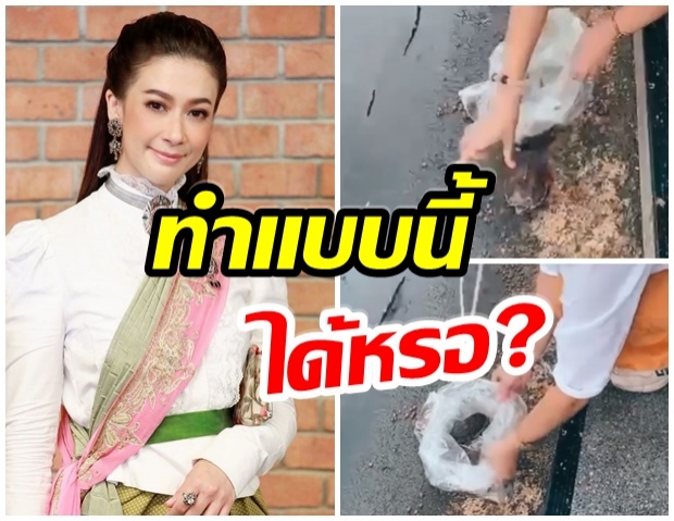 ชาวเน็ตถาม เอมี่ หลังปล่อยเต่านาลงเเม่น้ำ ทำเเบบนี้ได้หรอ?