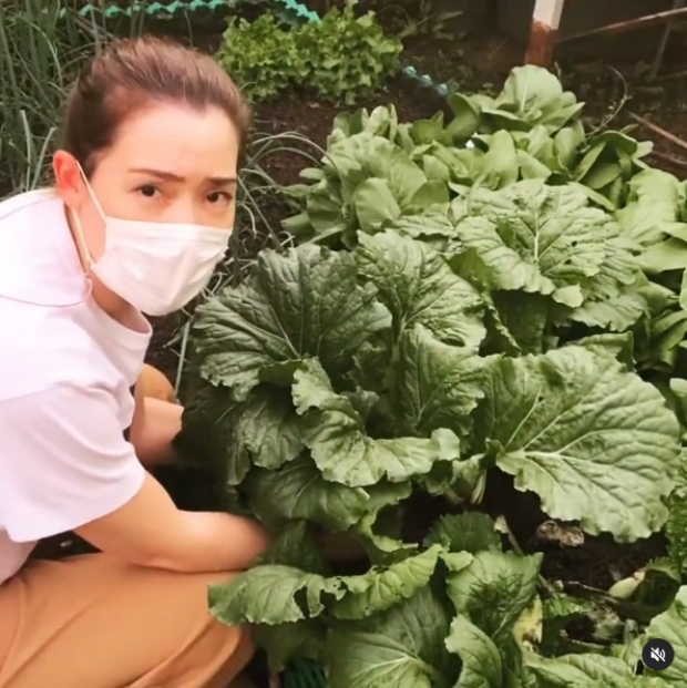 ส่องภาพล่าสุด บัวชมพู ฟอร์ด หายหน้าจากวงการ กับชีวิตสุดเรียบง่าย