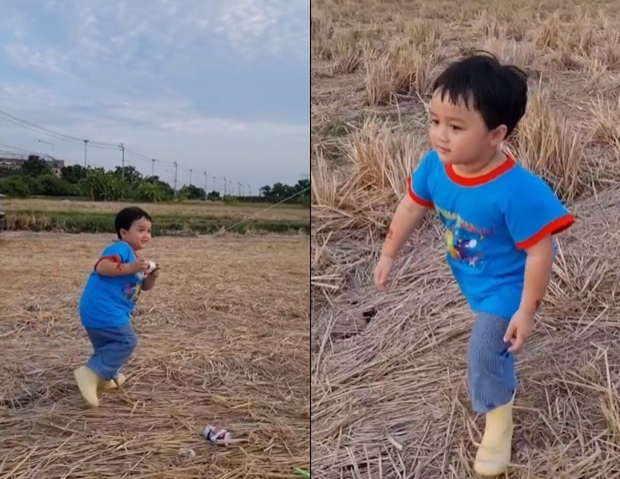 เลี้ยงลูกสุดชิล ชมพู่ พายุ สายฟ้า-พายุ ลุยทุ่งนา ติดดินเรียบง่ายสุดๆ 