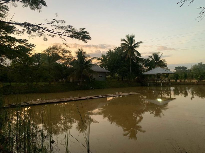 ทัวร์อาณาจักรสวนยิ่งเย็นของ ณเดชน์ ผลผลิตดี-อากาศบริสุทธิ์