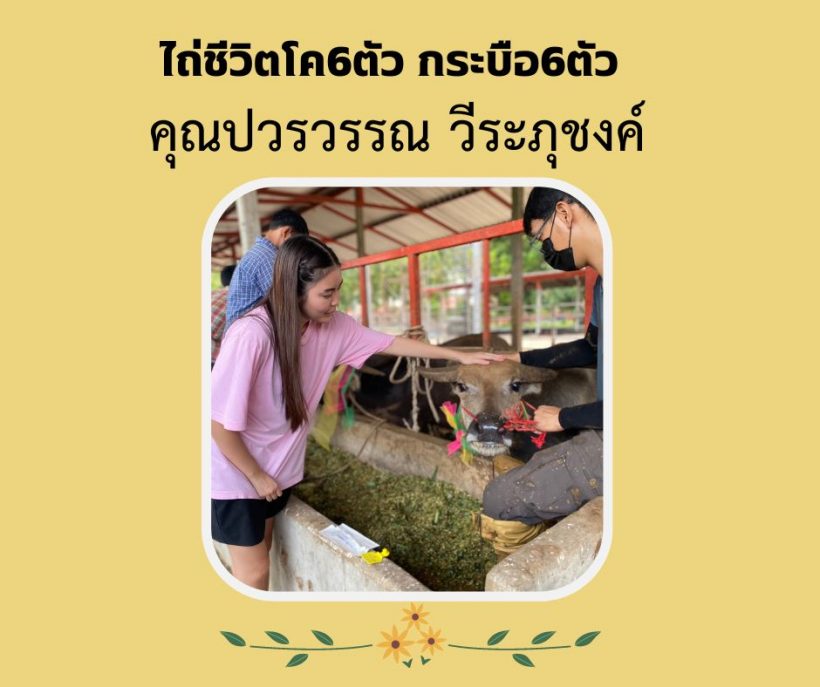 ปิดทองหลังพระ ดาราสาวทายาทหมื่นล้าน ทำบุญไถ่ชีวิตโค-กระบือ