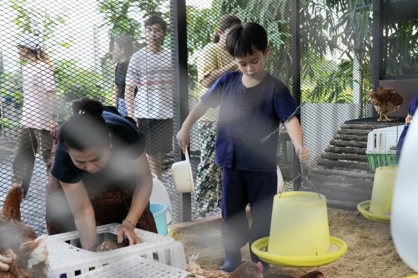 ส่องภารกิจ สายฟ้า-พายุ บุกอาณาจักรยายหนิงติดดินสู้แดดสู้ลม