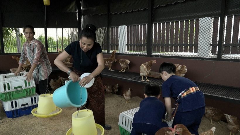 ส่องภารกิจ สายฟ้า-พายุ บุกอาณาจักรยายหนิงติดดินสู้แดดสู้ลม