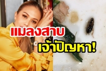 แพร วทานิกา ปรี๊ด! เจอของแถมสุดยี้จากร้านอาหารดัง-ผจก.ปัดรับผิดชอบ