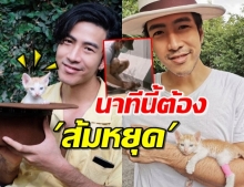 ‘โย่ง อาร์มแชร์’ อัปเดตอาการน้องแมว พร้อมตั้งชื่อฮิตติดหู! (คลิป)