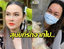 ‘ใหม่ เจริญปุระ’ ไว้อาลัย ‘ไอรีแลนด์’ สุนัขสุดที่รักจากไปไม่มีวันกลับ