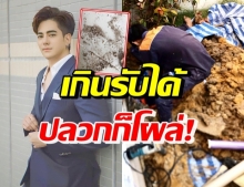 หนักแน่น โกรธจัด! บ้านโครงการดัง แต่ปัญหาเพียบ เจอทุกหลัง