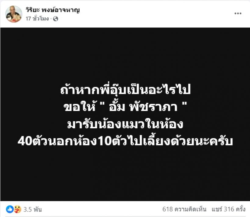 อั้ม พัชราภา รู้ยัง?มีคนสั่งเสีย หากเป็นอะไรไปวอนรับแมว50 ตัวไปเลี้ยงด้วย