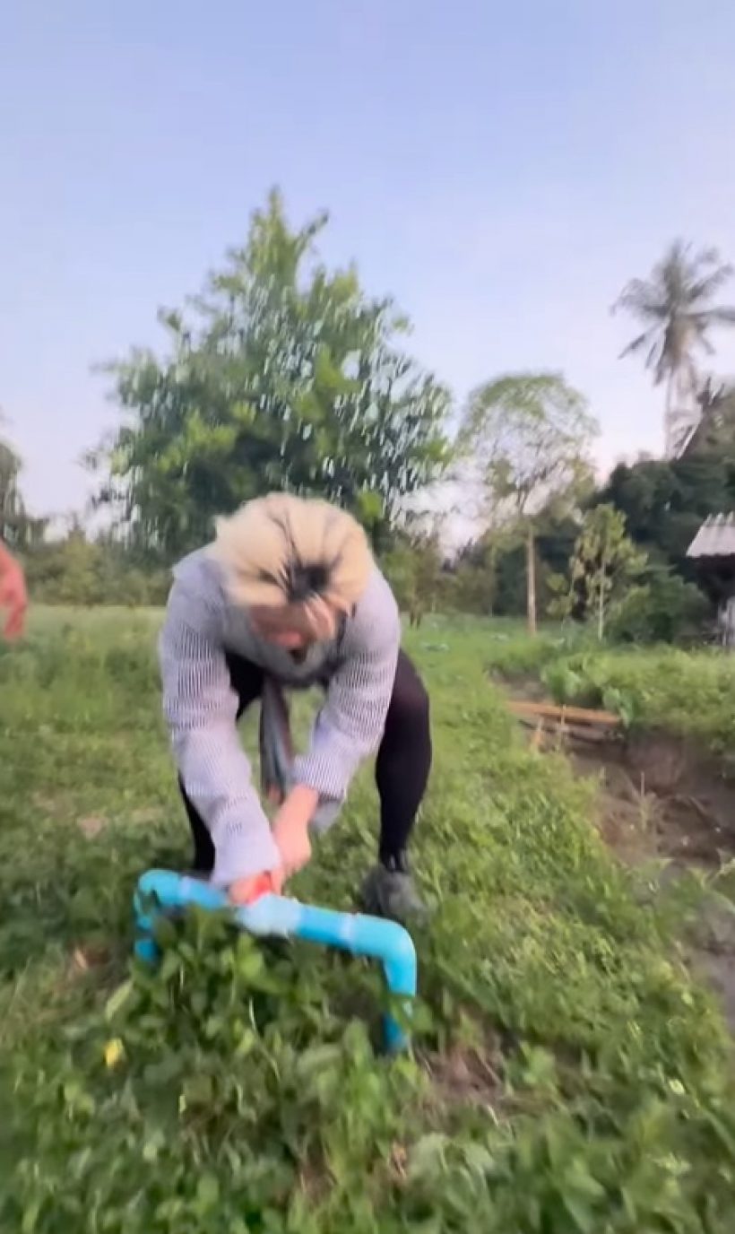 เธอคนนี้ ลงมือทำสวนทุเรียนเอง ขยันจนรวยขึ้นทุกวัน