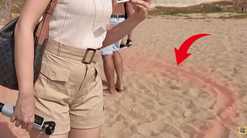 เเบบนี้ก็ได้หรอ! มิ้นท์ นวินดา โดนฝรั่งไล่กลางหาด เจ้าตัวถึงกับเหวอ