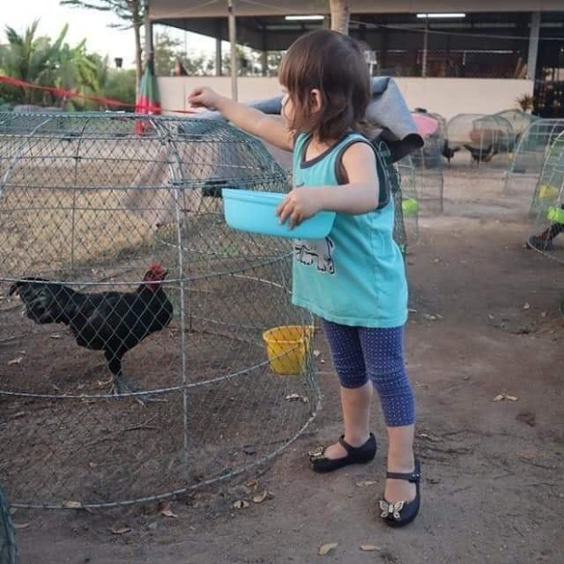 เอ็นดู! น้องมารีน ลูกสาว น้ำ รพีภัทร ผันตัวเป็นเด็กเลี้ยงไก่ประจำฟาร์ม ใกล้ชิดธรรมชาติ