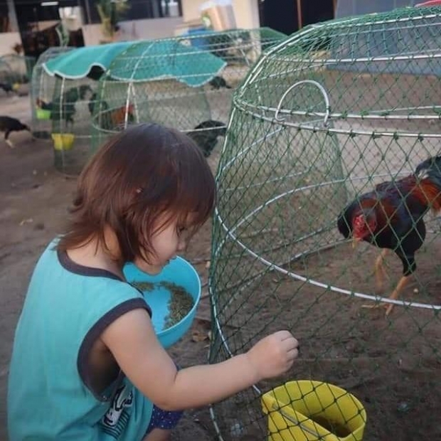 เอ็นดู! น้องมารีน ลูกสาว น้ำ รพีภัทร ผันตัวเป็นเด็กเลี้ยงไก่ประจำฟาร์ม ใกล้ชิดธรรมชาติ