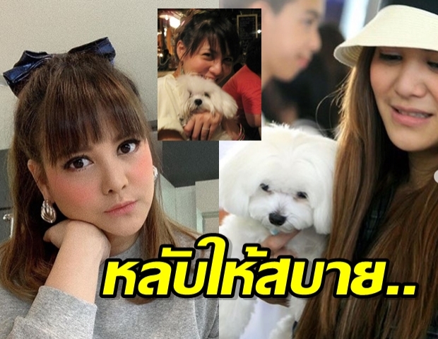 ตัวจากแต่ใจอยู่ พิมพ์มาดา สุดเศร้าความสุขหาย สูญเสียสุนัขคู่ใจ 