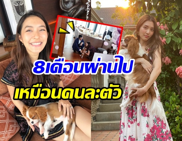 ส่อง เจ้าเทมป์ น้องหมาสื่อรัก มิว-เซนต์ ผ่านมา 8 เดือน ตัวโตขึ้นมาก 