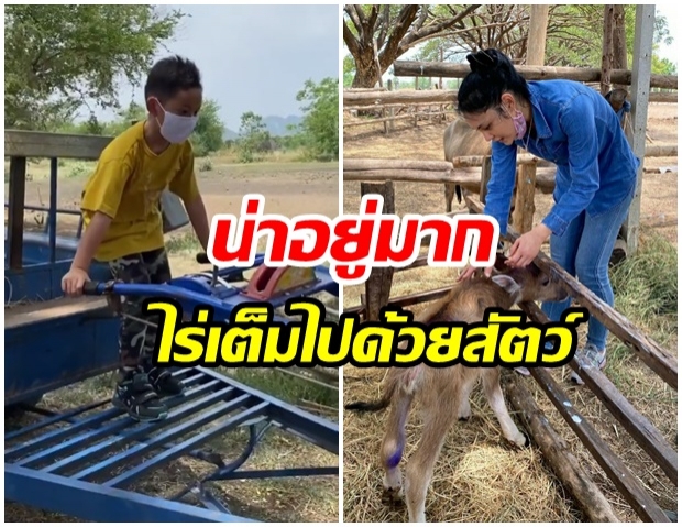 กว้างใหญ่ ตั๊ก บงกช พาทัวร์ ไร่เบญจรงคกุล น้องข้าวหอมโชว์ขับรถไถด้วย 