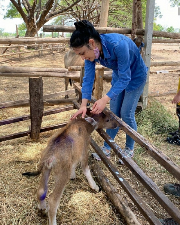 กว้างใหญ่ ตั๊ก บงกช พาทัวร์ ไร่เบญจรงคกุล น้องข้าวหอมโชว์ขับรถไถด้วย 