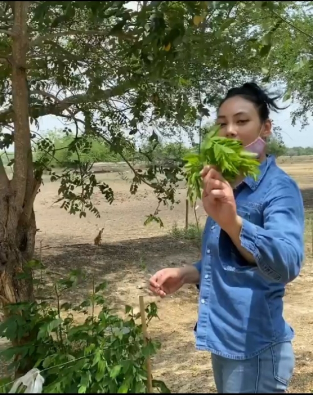 กว้างใหญ่ ตั๊ก บงกช พาทัวร์ ไร่เบญจรงคกุล น้องข้าวหอมโชว์ขับรถไถด้วย 