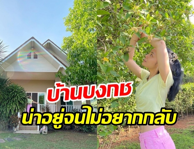 ตั๊ก พาทัวร์ บ้านสวนบงกช ที่เขาใหญ่ สวยเรียบง่ายน่าอยู่มาก