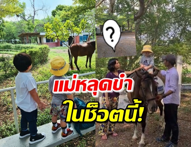 ‘แม่ชม’ พาส่อง ‘น้องสายฟ้า-พายุ’ ความน่ารักที่แตกต่างมาก (คลิป)