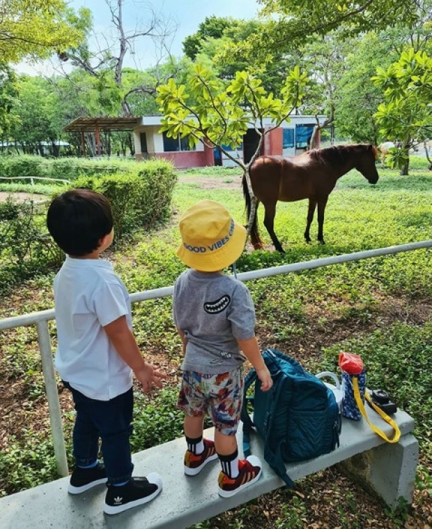 ‘แม่ชม’ พาส่อง ‘น้องสายฟ้า-พายุ’ ความน่ารักที่แตกต่างมาก (คลิป)