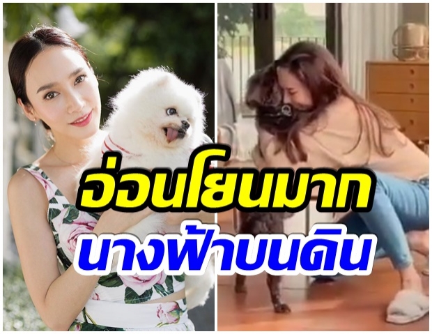 โมเมนต์อบอุ่น อั้ม-น้องหมา ดูไปยิ้มไป สมตำเเหน่งนางฟ้าสัตว์สี่ขา(คลิป)