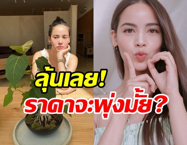 ญาญ่า อวดภาพต้นไม้ใหม่ แฟนๆ ลุ้นหนัก จะขึ้นราคาอีกมั้ย!?