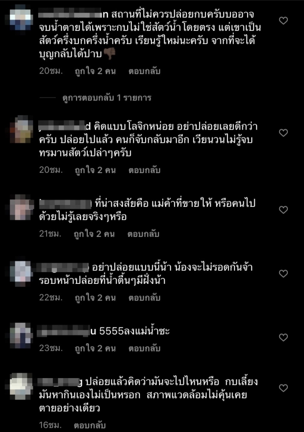 ‘คาริสา’ โดนดราม่าปล่อยกบลงน้ำ จากทำบุญจะได้บาปแทน 