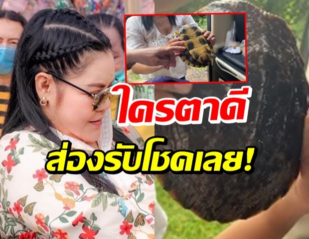 หวิดทับ! ฮาย อาภาพร เจอเต่ากลางถนน ซูมกระดองแห่เห็นเลข (คลิป)