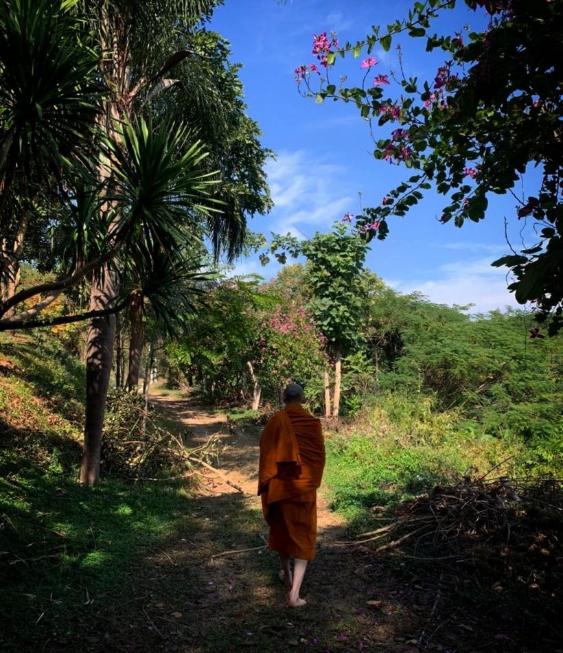 พระมะตูม โพสต์อินสตราแกรม แจ้งเลื่อนการลาสิกขา 