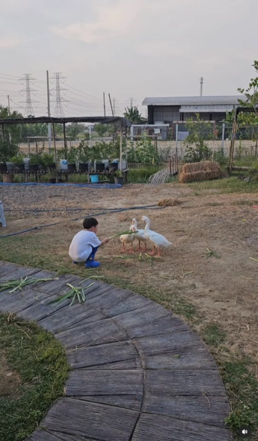 ทายาทหมื่นล้าน ลุยสวนคุณยาย ไม่คิดว่าน้องพายุกล้าทำสิ่งนี้ด้วย!?