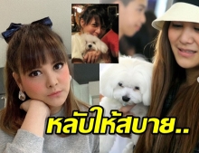 ตัวจากแต่ใจอยู่ พิมพ์มาดา สุดเศร้าความสุขหาย สูญเสียสุนัขคู่ใจ