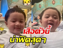 พักเชิดสิงโต น้องพายุ อยากเป็นเสือร้องคำราม แต่ทำไมน่ารักขนาดนี้