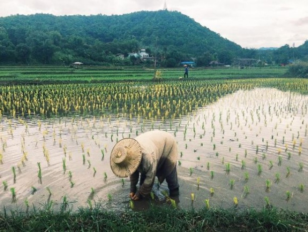 ลูกกตัญญู\"นิว นภัสสร\" ทุ่มทุนซื้อที่นาให้พ่อ บรรยากาศดีสุดๆ