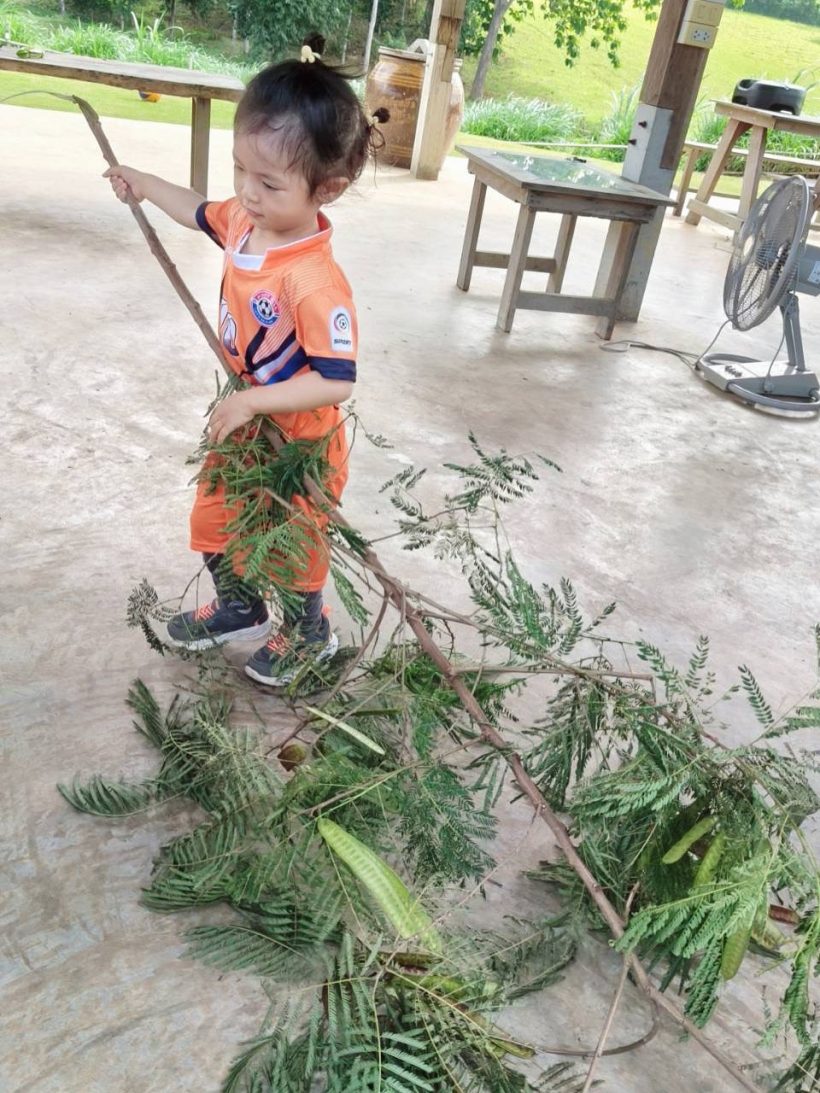 ส่องชีวิตเรียบง่าย ครอบครัวพระเอกดัง ล่าสุดเปิดแผงขายผักให้ลูก