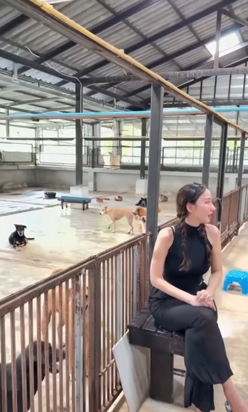 เปิดโมเมนต์ อั้ม พัชราภา อาบน้ำให้น้องหมาจร เลี้ยงไว้ 130 ตัว