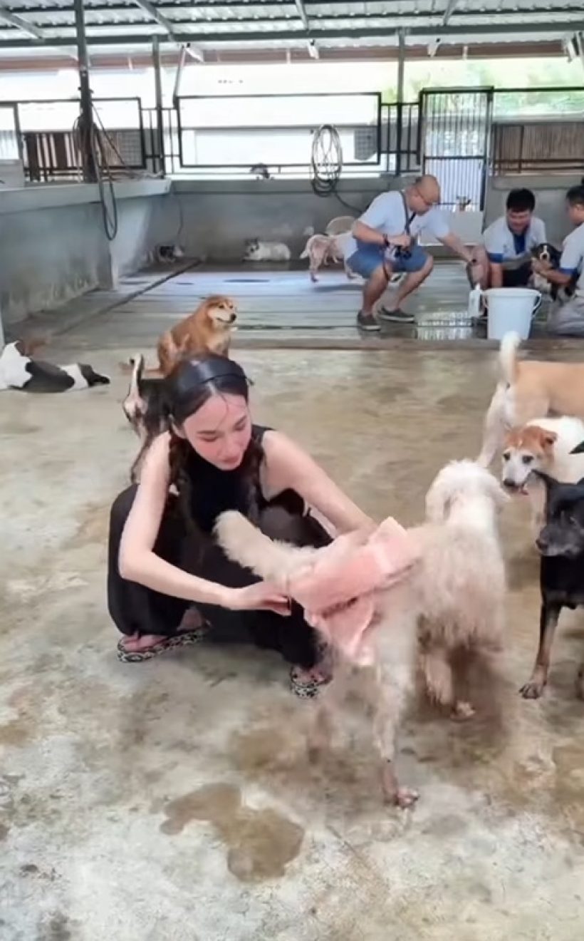 เปิดโมเมนต์ อั้ม พัชราภา อาบน้ำให้น้องหมาจร เลี้ยงไว้ 130 ตัว