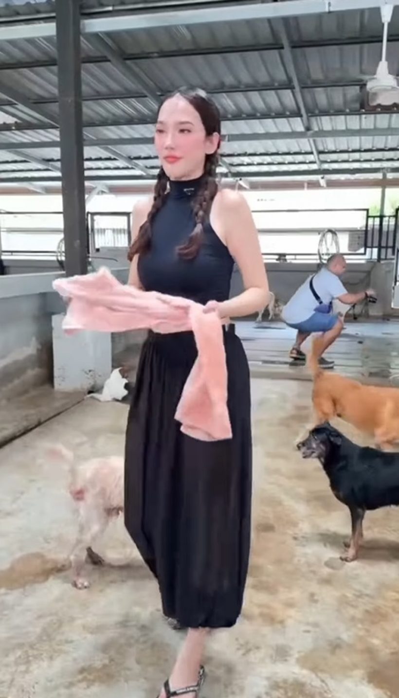 เปิดโมเมนต์ อั้ม พัชราภา อาบน้ำให้น้องหมาจร เลี้ยงไว้ 130 ตัว