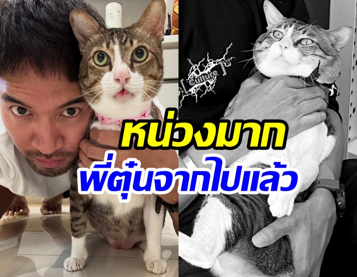 เกรท วรินทร เเจ้งข่าวเศร้า ไข่ตุ๋น กลับดาวเเมวเเล้ว