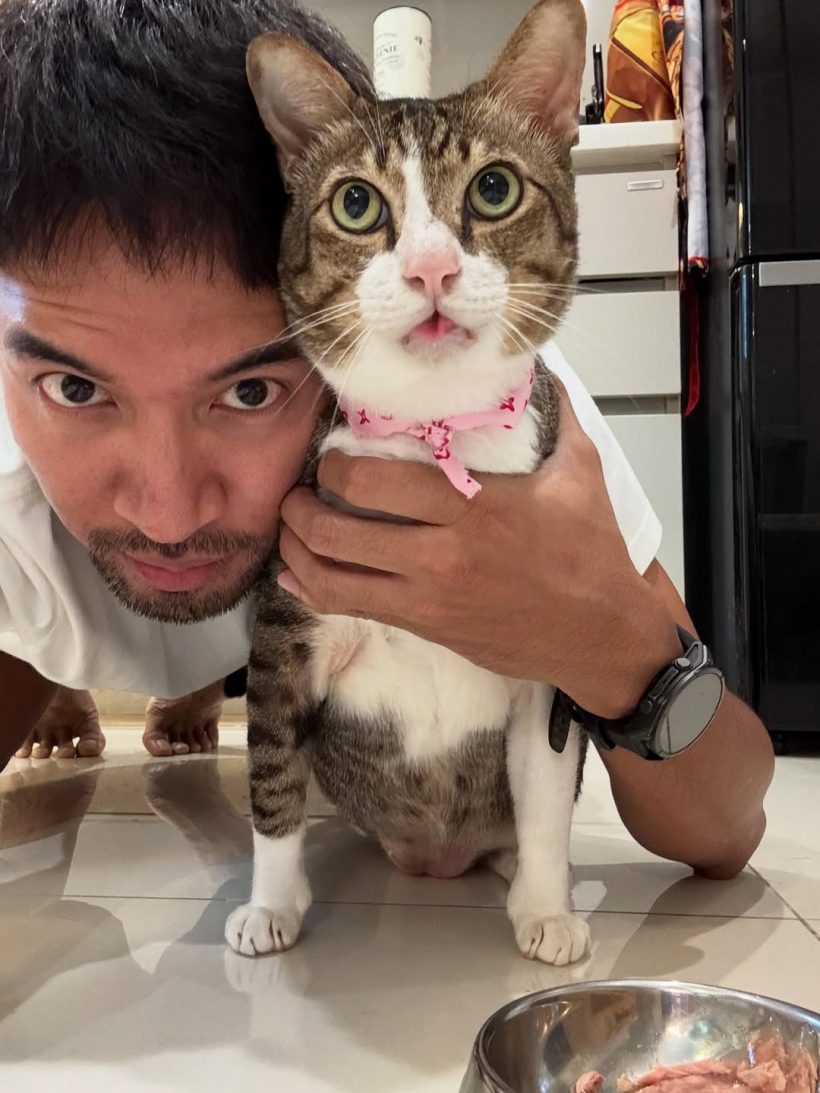 เกรท วรินทร เเจ้งข่าวเศร้า ไข่ตุ๋น กลับดาวเเมวเเล้ว