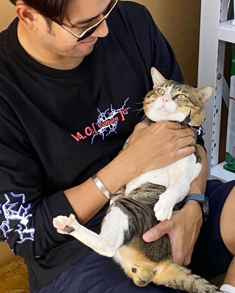 เกรท วรินทร เเจ้งข่าวเศร้า ไข่ตุ๋น กลับดาวเเมวเเล้ว