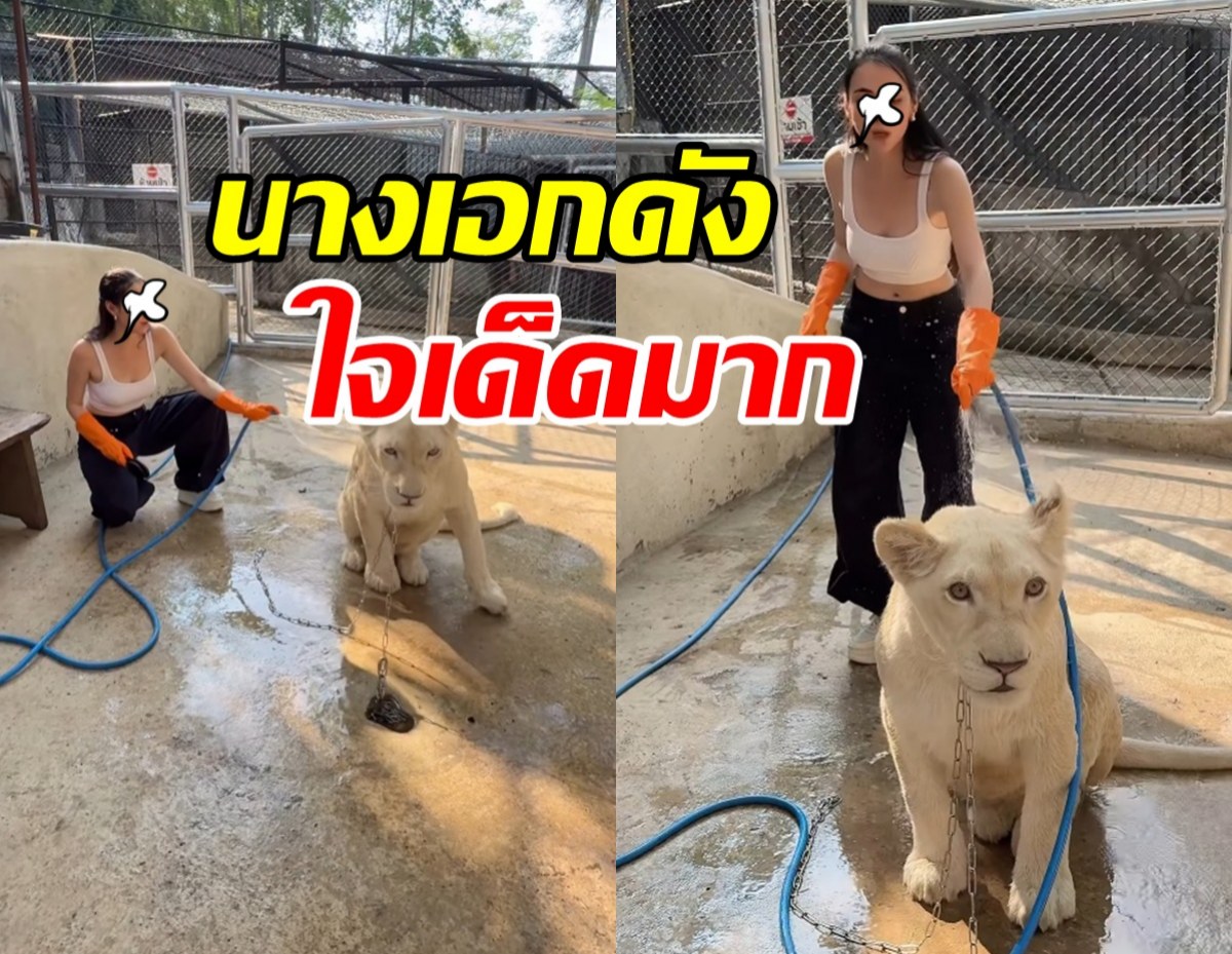 เธอคนนี้ สลัดภาพนางเอกเรียบร้อย โชว์สกิลอาบน้ำสิงโต