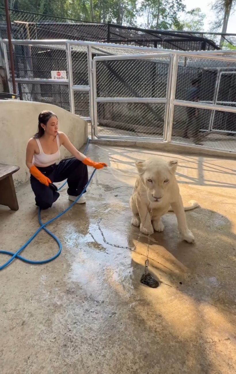 เธอคนนี้ สลัดภาพนางเอกเรียบร้อย โชว์สกิลอาบน้ำสิงโต