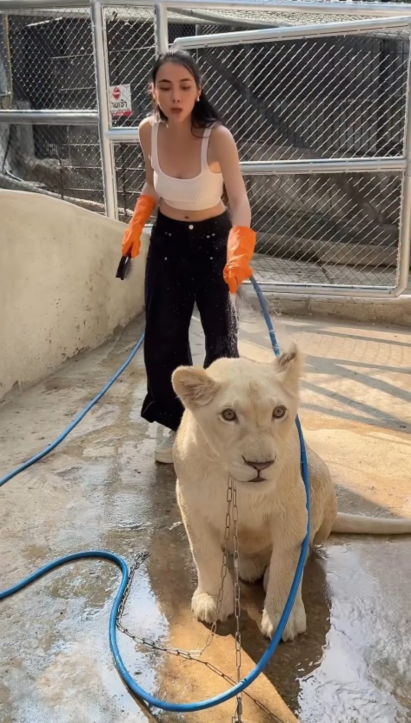 เธอคนนี้ สลัดภาพนางเอกเรียบร้อย โชว์สกิลอาบน้ำสิงโต