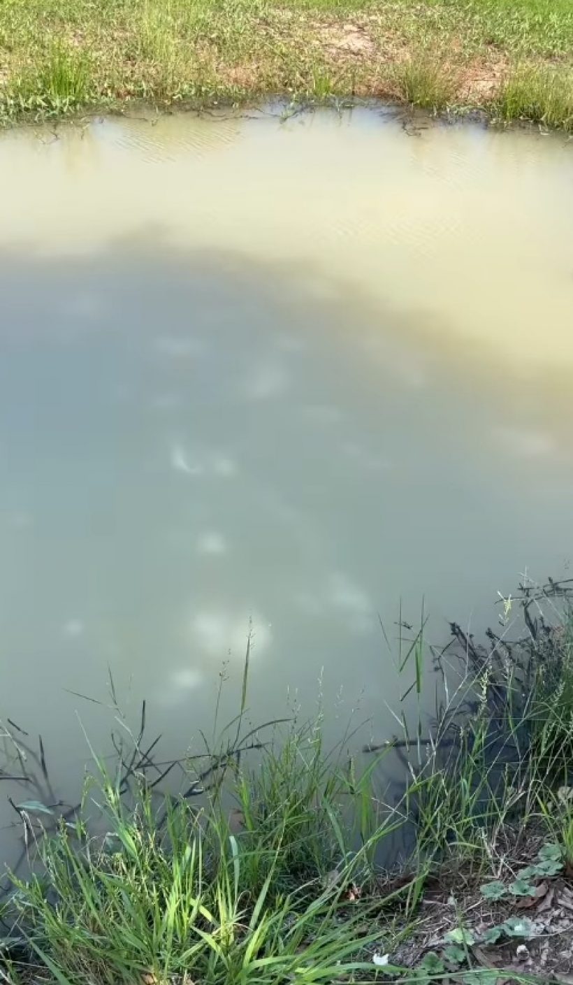 หนูเล็ก เปิดภาพบ้านสวน แค่ถนนทางเข้าก็อลังการแล้ว
