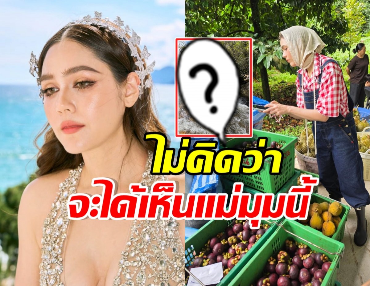 ติดดินได้ใจ! ส่องชีวิต ชมพู่ อารยา ไม่คิดว่าจะได้เห็นมุมนี้