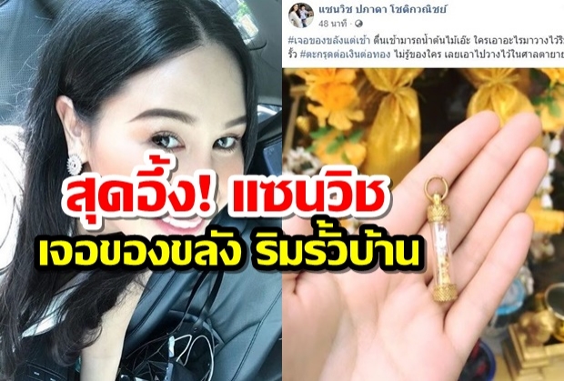 สุดอึ้ง! เมื่อแซนวิชเจอของขลัง ริมรั้วบ้าน