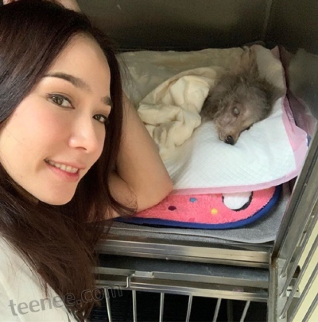 R.I.P อั้มเศร้า สูญเสียน้องน้ำตาล น้องหมาสุดที่รักที่อยู่กันมานานครึ่งชีวิต